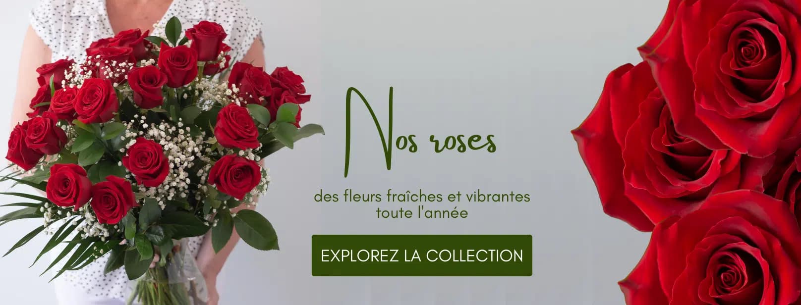 ROSES BANNER - DESKTOP FR