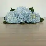 Blue Hydrangea