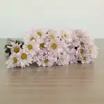 Marguerites