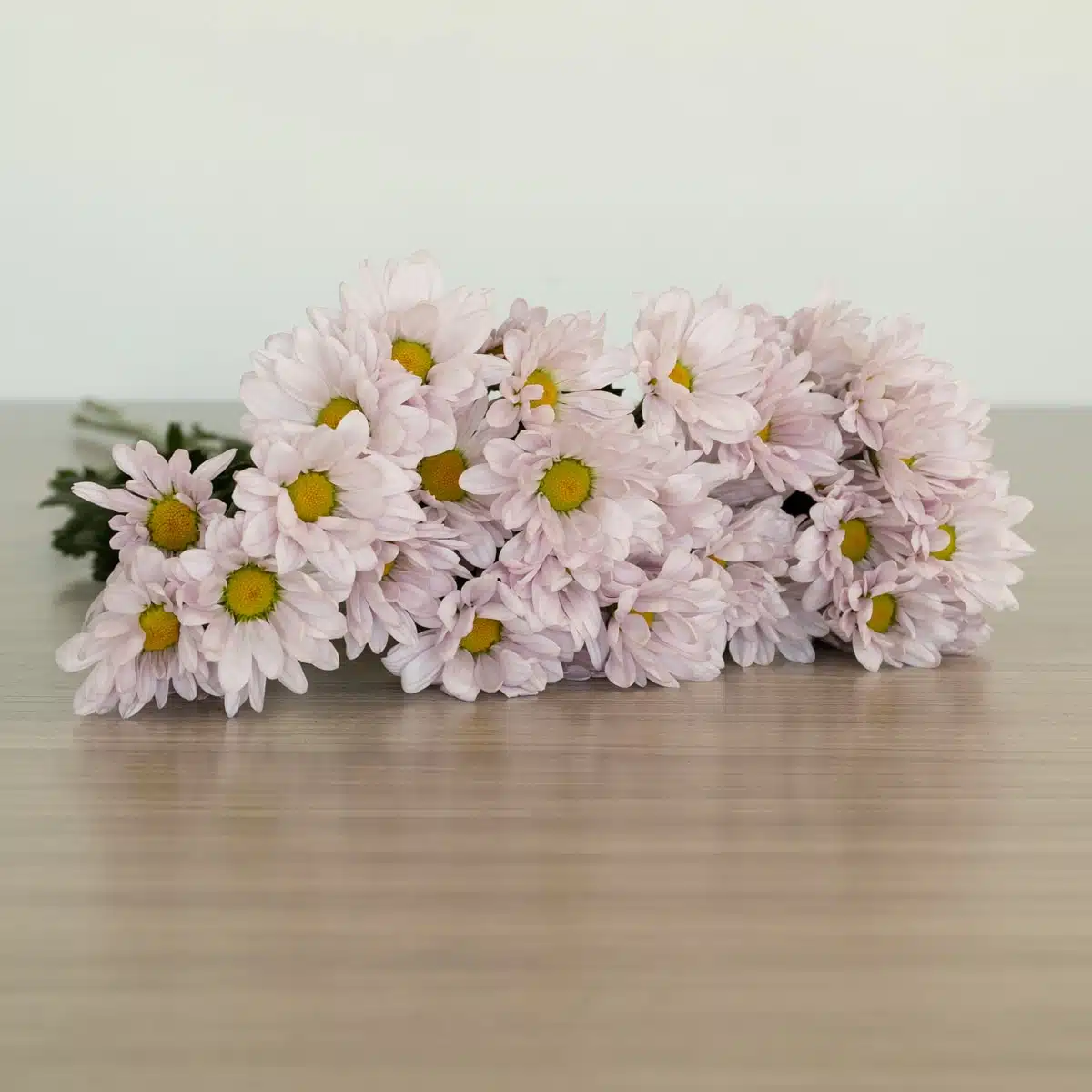 Marguerites