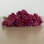 Marguerites