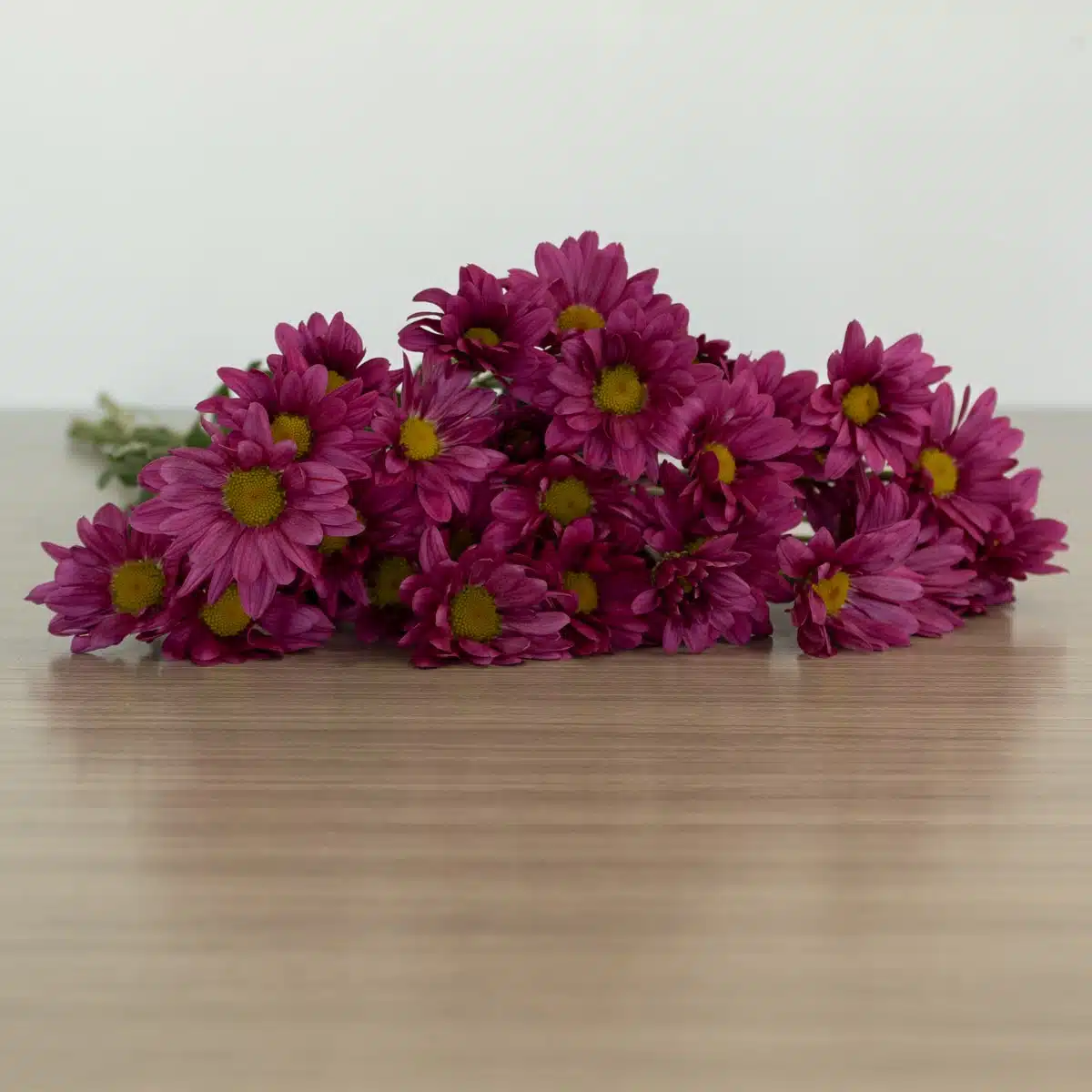 Marguerites