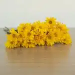 Marguerites