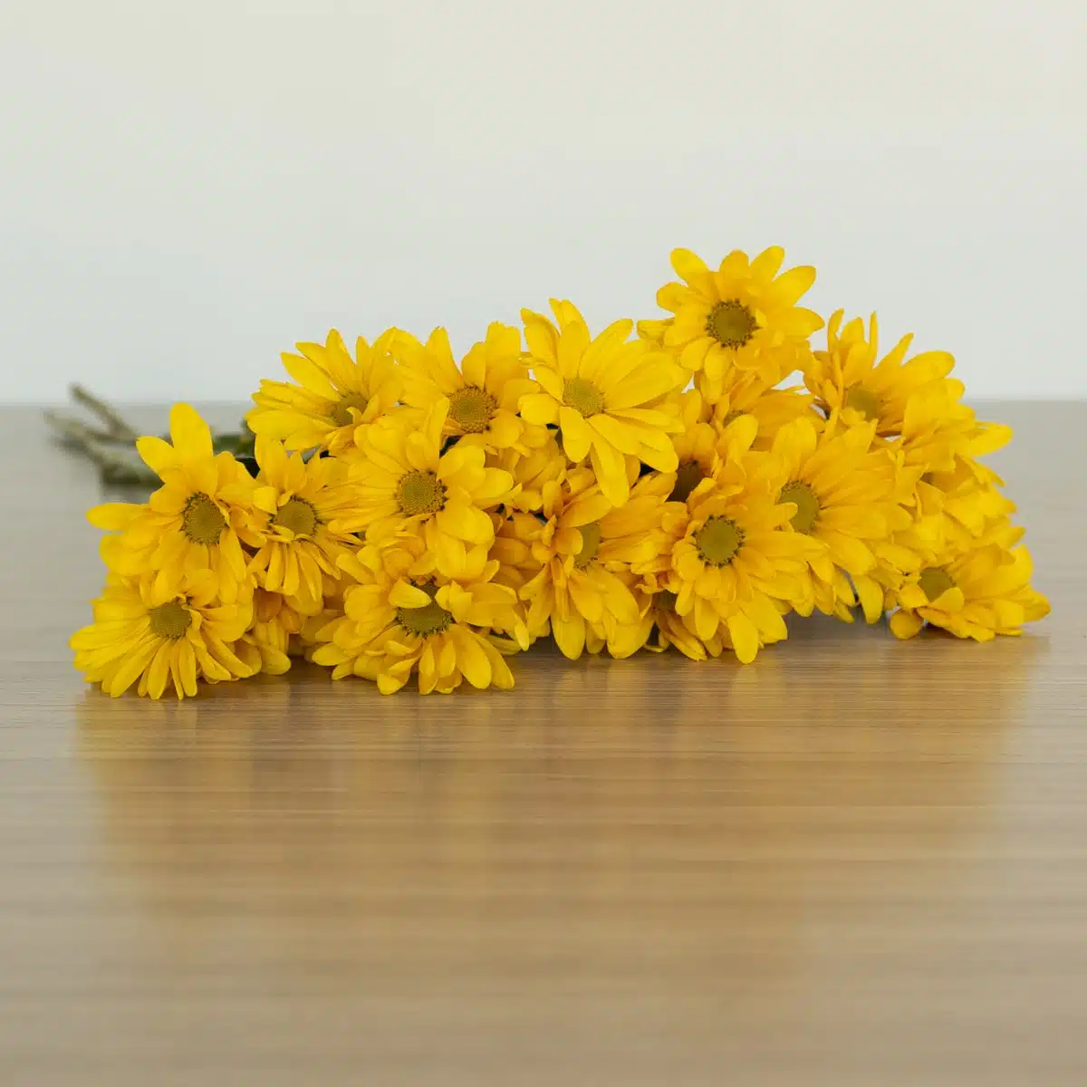 Marguerites