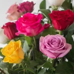 Bulk Assorted Roses – 60 cm