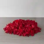 Rose Petals