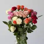 Bulk Assorted Spray Roses
