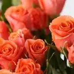 Bulk Orange Star Spray Roses