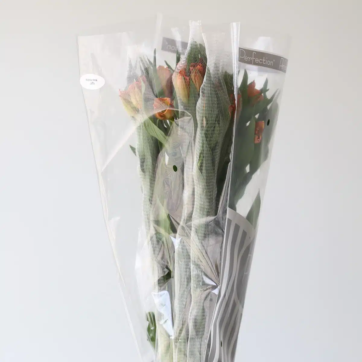 Orange Alstroemeria – Jaffa
