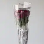 Purple Alstroemeria – Napoli