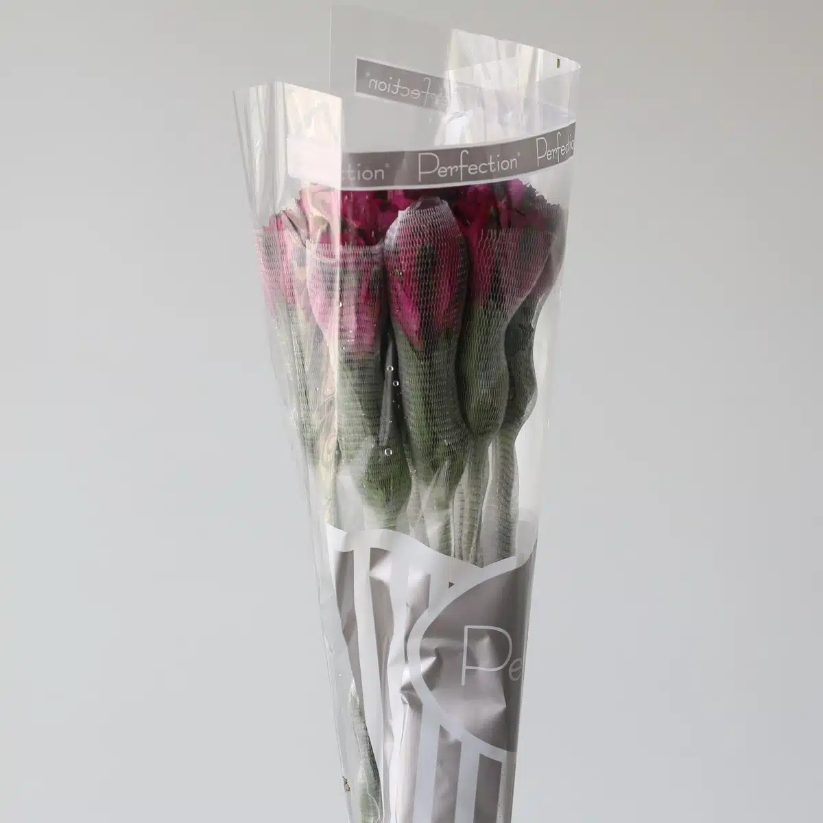 Purple Alstroemeria – Napoli