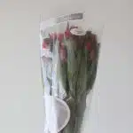 Hot Pink Alstroemeria – Nora