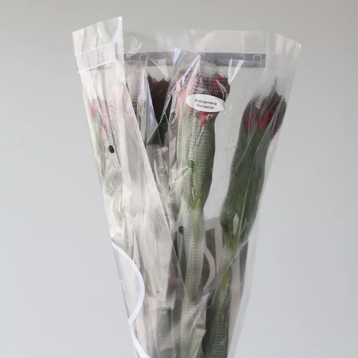 Red Alstroemeria – Romance