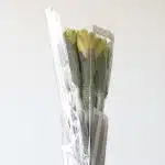 Yellow Alstroemeria – Sunny Lady