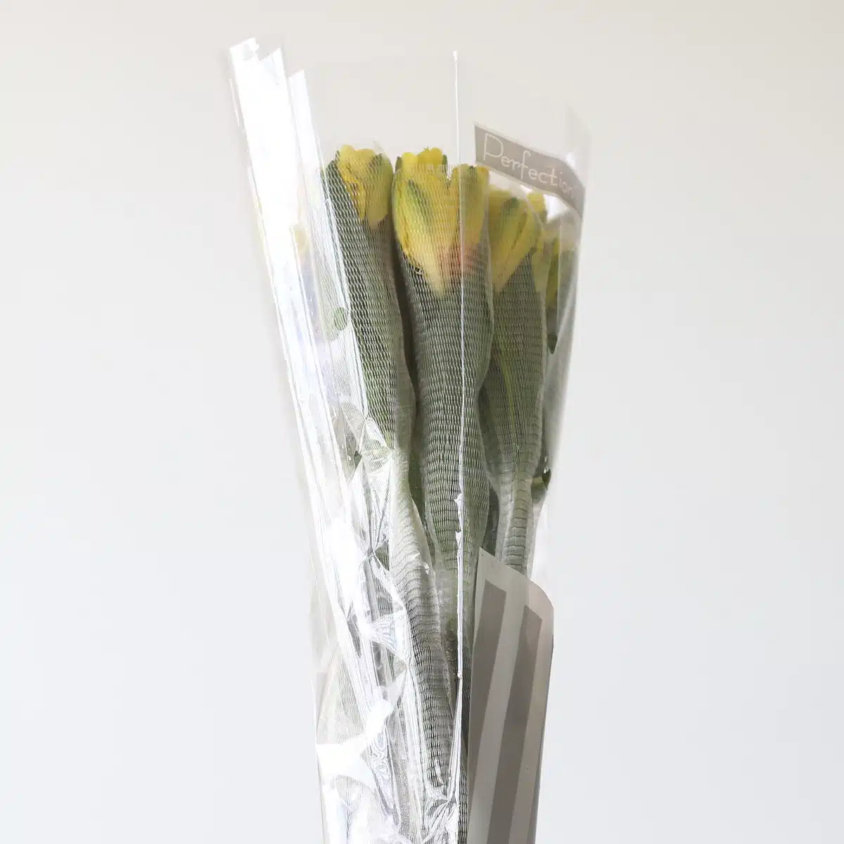 Yellow Alstroemeria – Sunny Lady