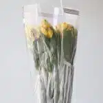 Yellow Alstroemeria – Voyager