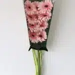 Gerbera Cameron Pink (En Vrac)