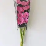 Gerbera Dreamer (Bulk DIY)