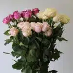 Bulk Assorted Roses – 60 cm