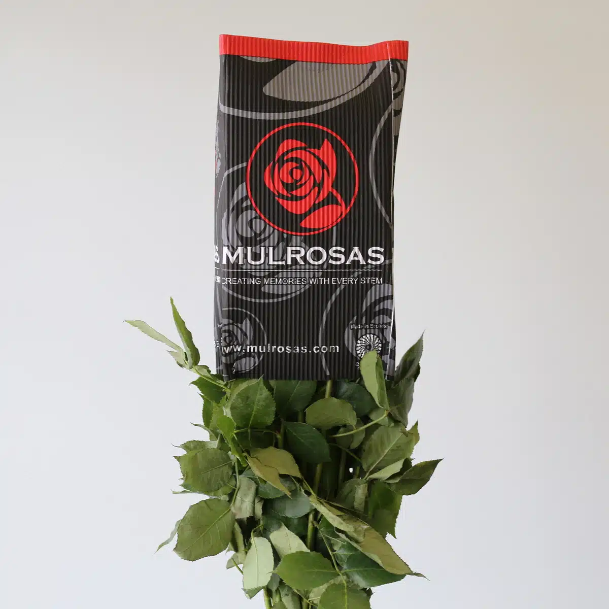 Rose Cool Water Bulk DIY