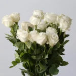 Roses Playa Bianca en vrac – 50 cm