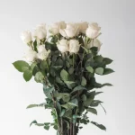 Roses Vendela en vrac – 50 cm