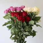 Bulk Assorted Roses – 70 cm