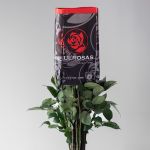 Roses Vendela en vrac – 50 cm