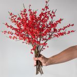 Ilex (Bulk DIY)