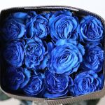 Bulk Tinted Blue Roses – 60 cm