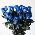 Bulk Tinted Blue Roses – 60 cm