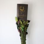 Bulk Rainbow Roses – 60 cm