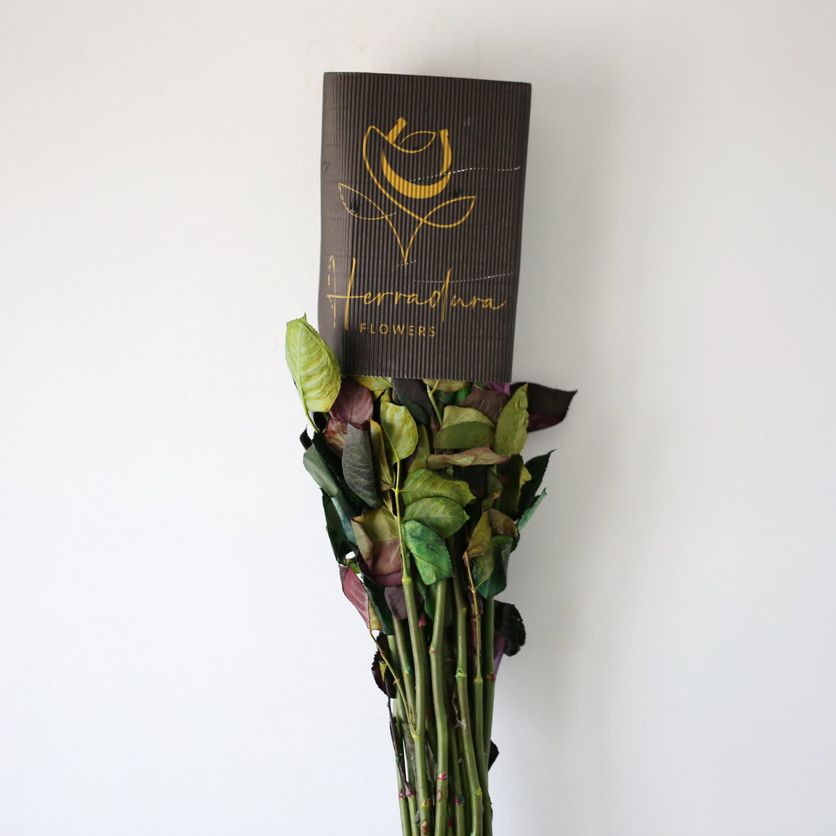 Bulk Rainbow Roses – 60 cm