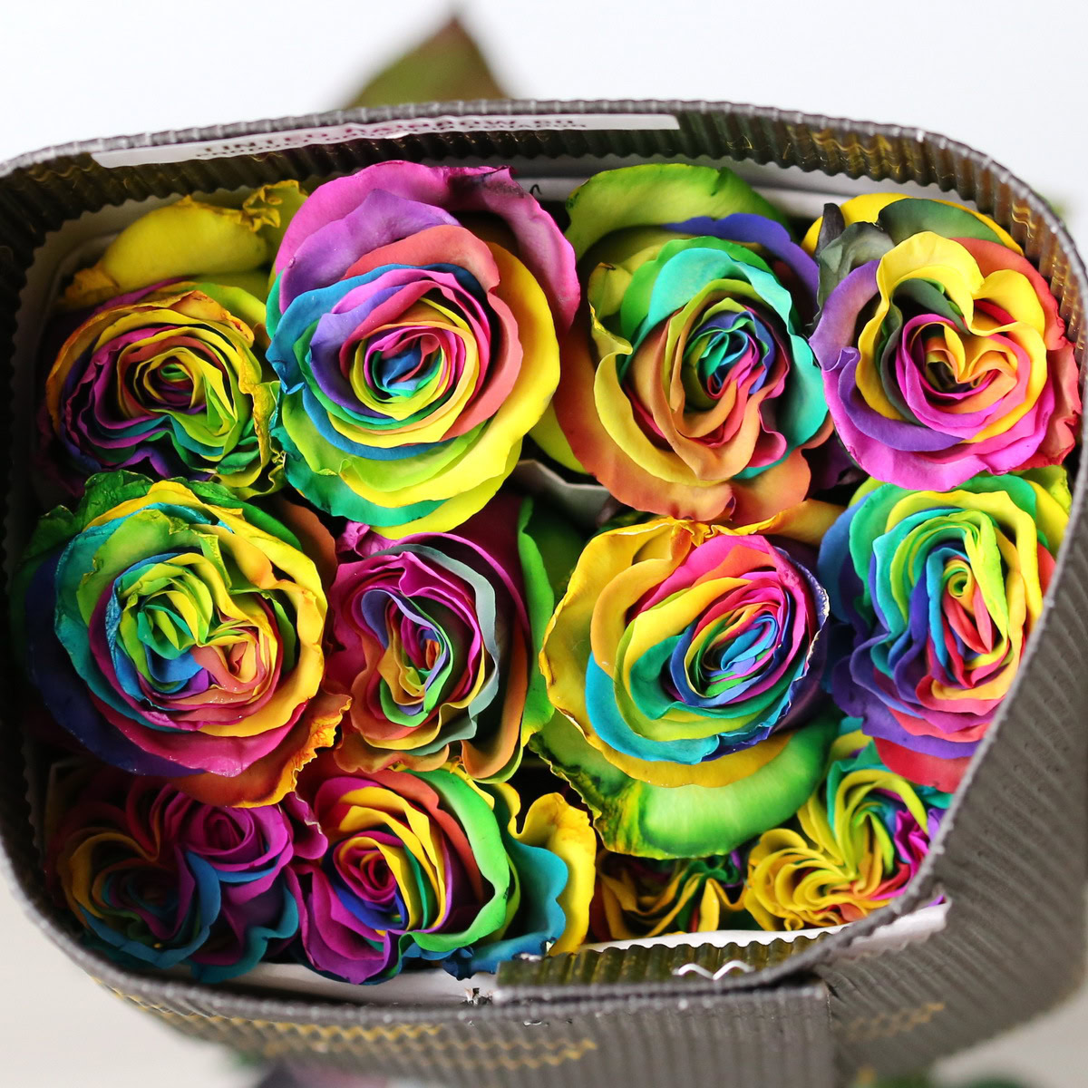 Bulk Rainbow Roses – 60 cm