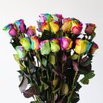 Bulk Rainbow Roses – 60 cm
