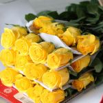 Bulk Brighton Roses – 50 cm