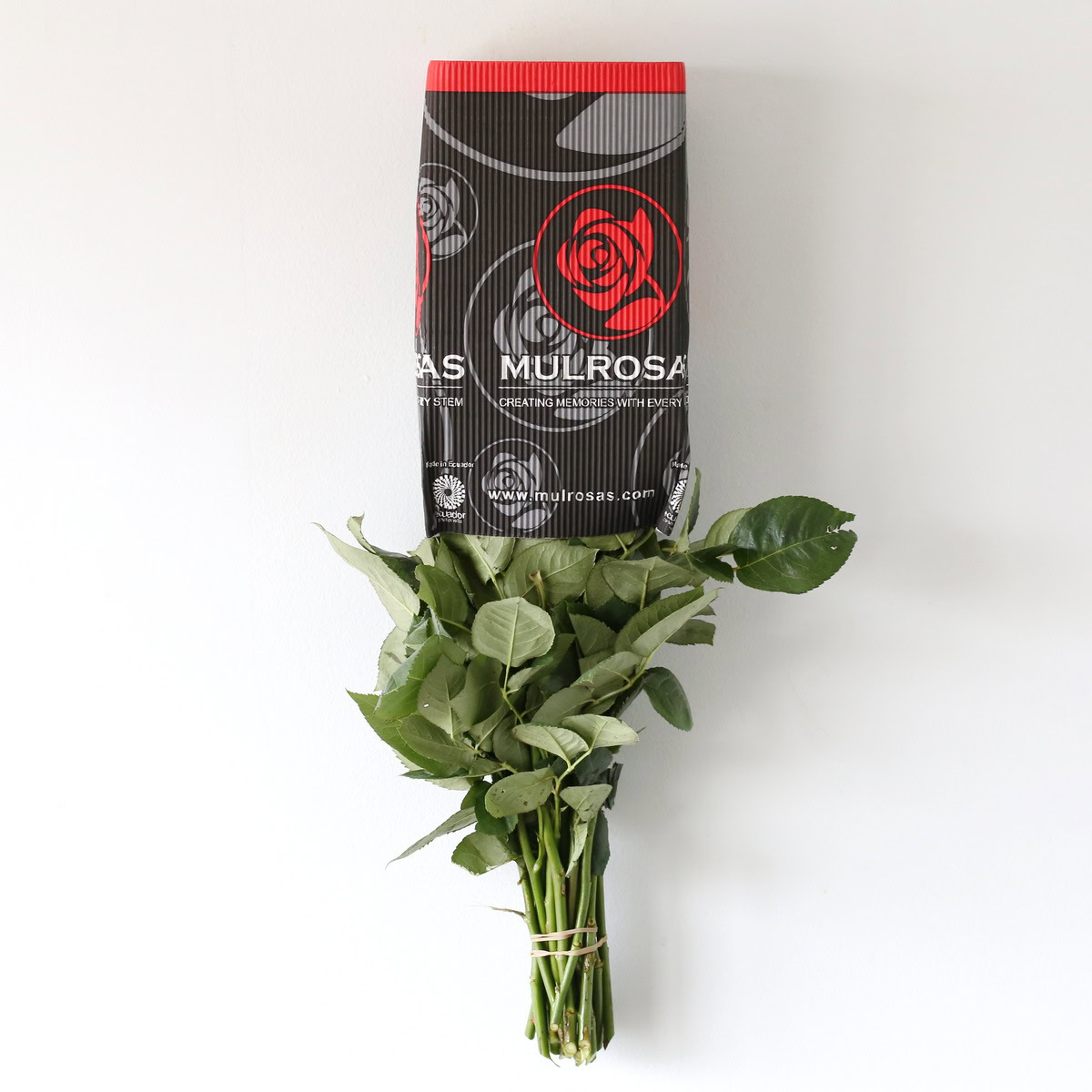 Roses Mondial en vrac – 60 cm