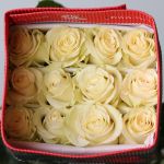 Roses Mondial en vrac – 60 cm