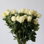 Roses Mondial en vrac – 60 cm