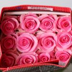 Bulk Assorted Roses - 40 cm