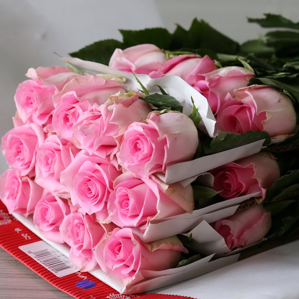 Bulk Queen Elizabeth Roses – 60 cm