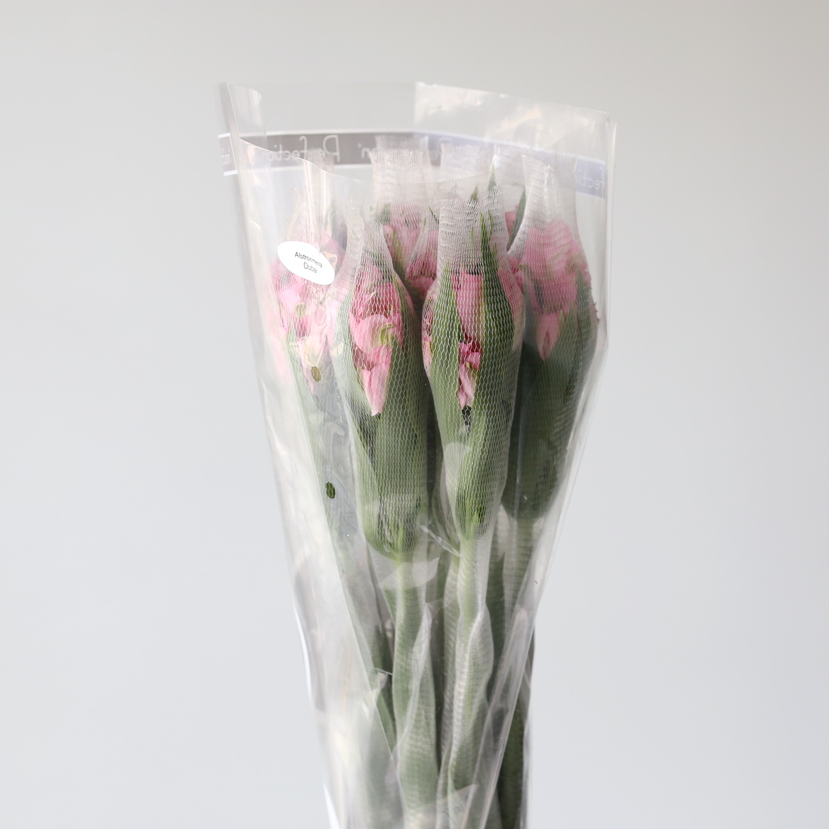 Light Pink Alstroemeria – Dubai