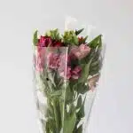 Assorted Alstroemeria – Standard