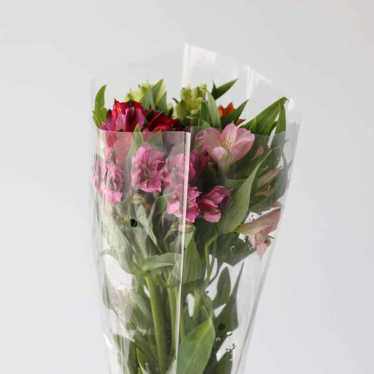 Assorted Alstroemeria – Standard