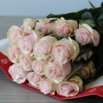 Bulk Pink Mondial Roses – 60 cm