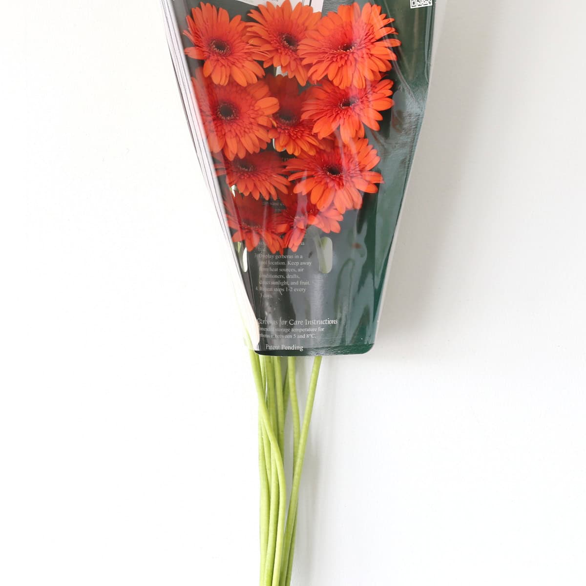 Mini Gerbera Caramba (Bulk DIY)