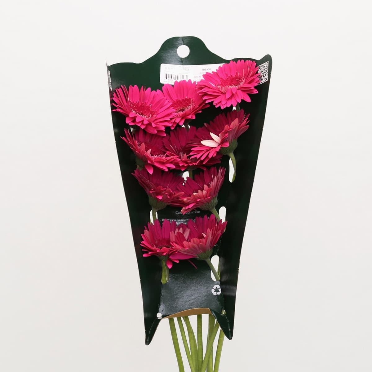 Gerbera Arcade (Bulk DIY)