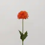 Orange Dahlia (Bulk DIY)
