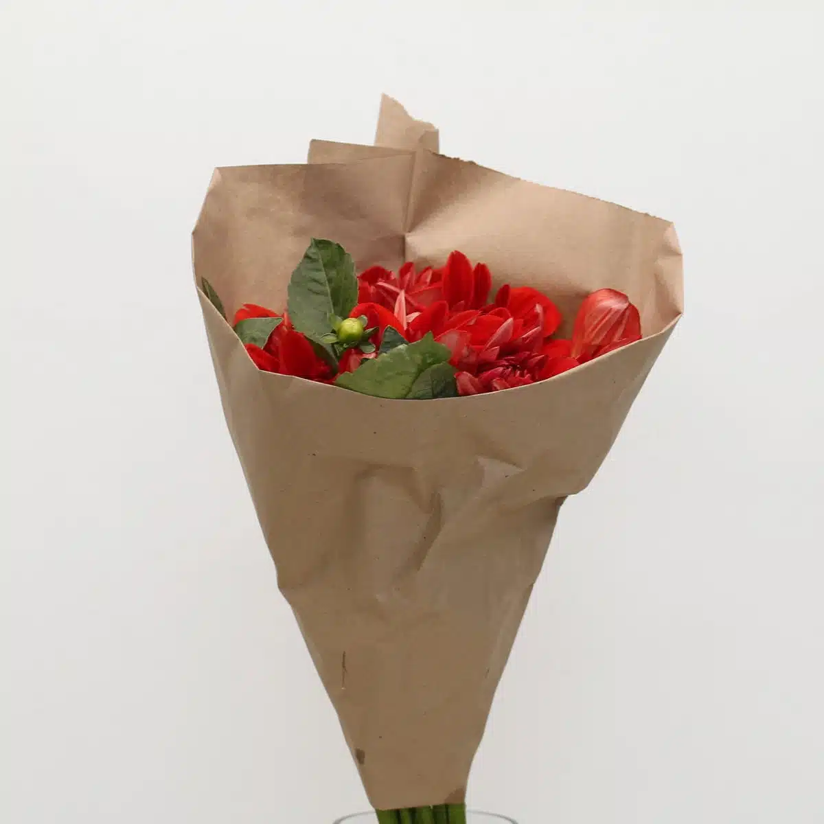 Dahlia Rouge - en vrac