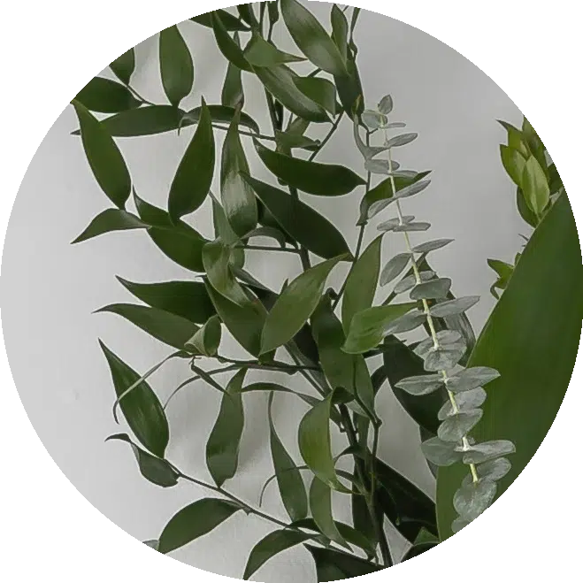 tropical greens icon